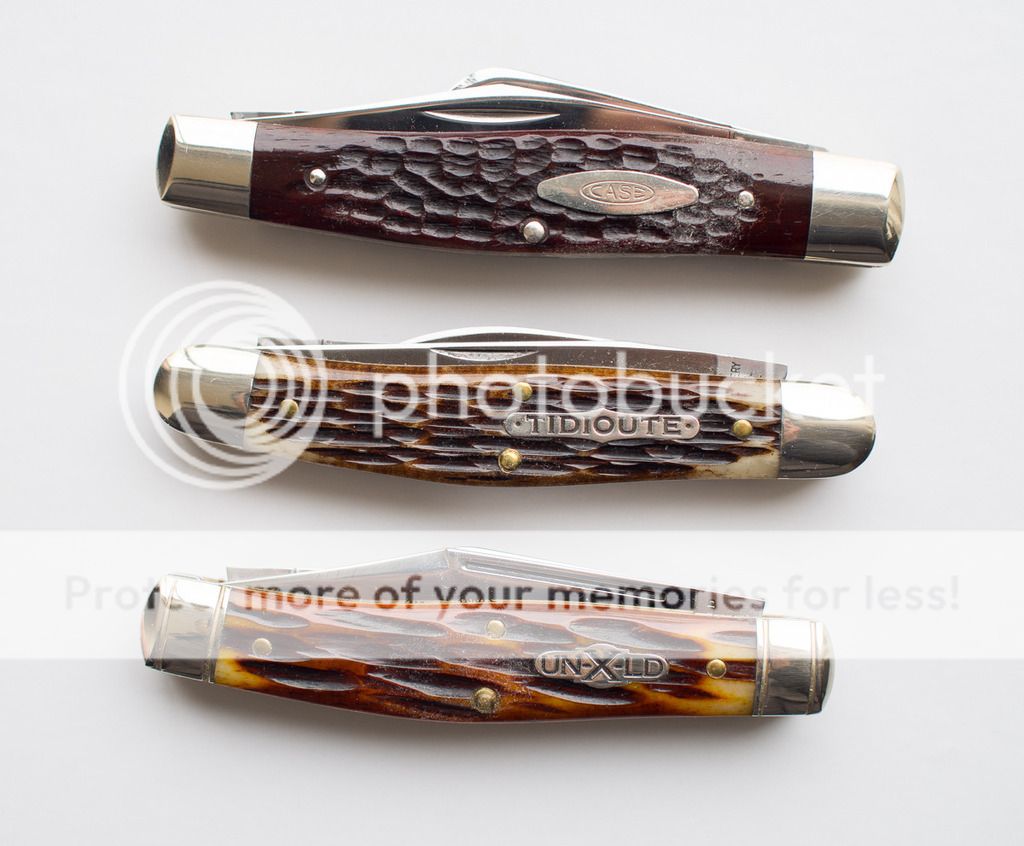 _3270006.jpg~original