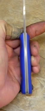bluebushredwhitetailtravisspec010.jpg