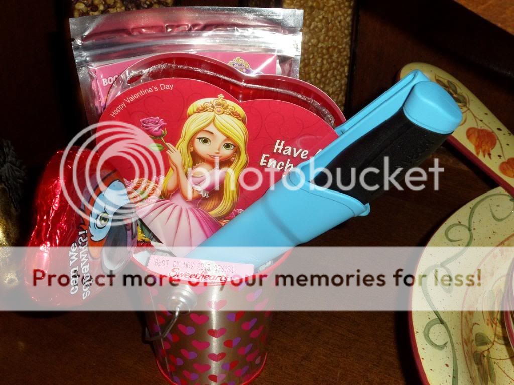 SAM_0310_zps4419de42.jpg