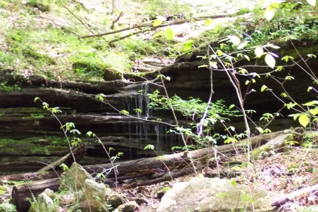 100_1636_00.jpg