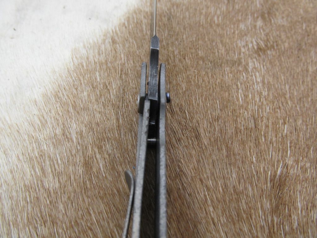 Tiframelock002.jpg