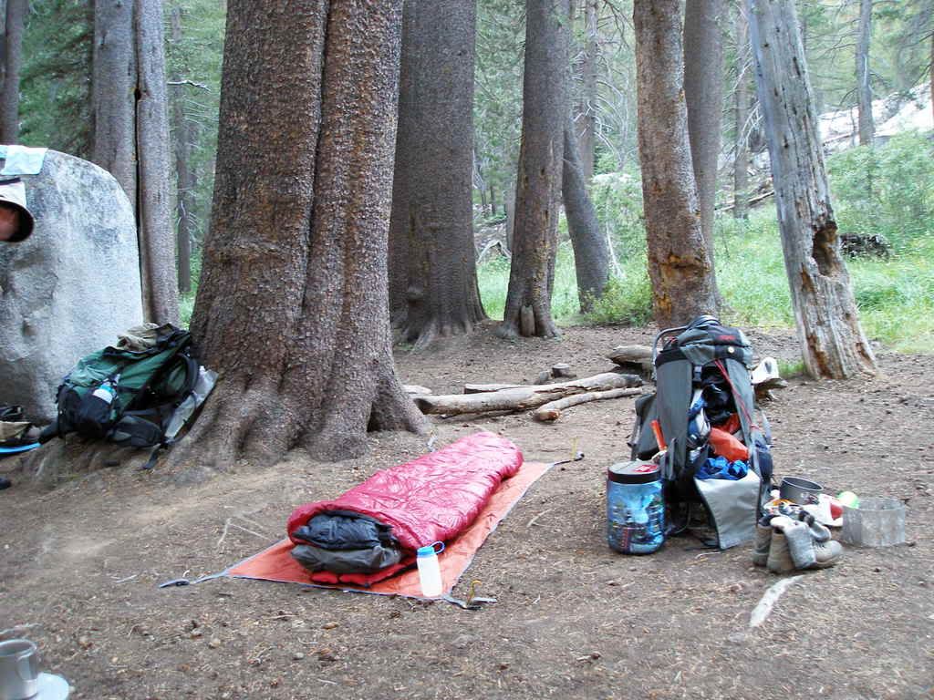 KingsCanyon2008741.jpg