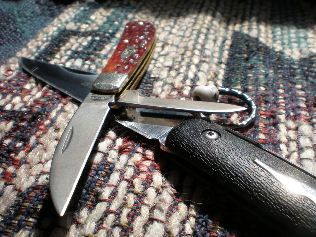 swandkudu002.jpg
