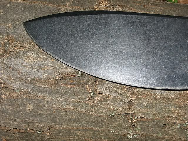 072005040.jpg