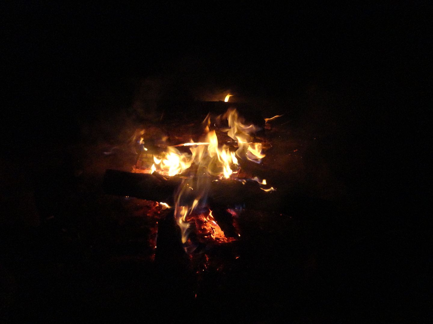DSC08365_zpsffbnowd8.jpg