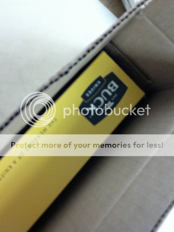 photobucket-1113-1339327683687.jpg