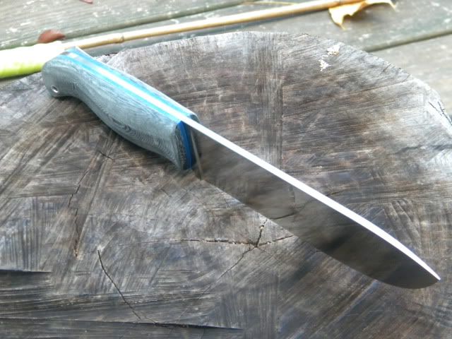 DSCN1901.jpg