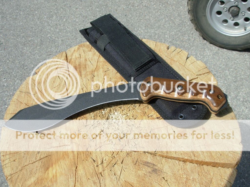 DSCN1500.jpg
