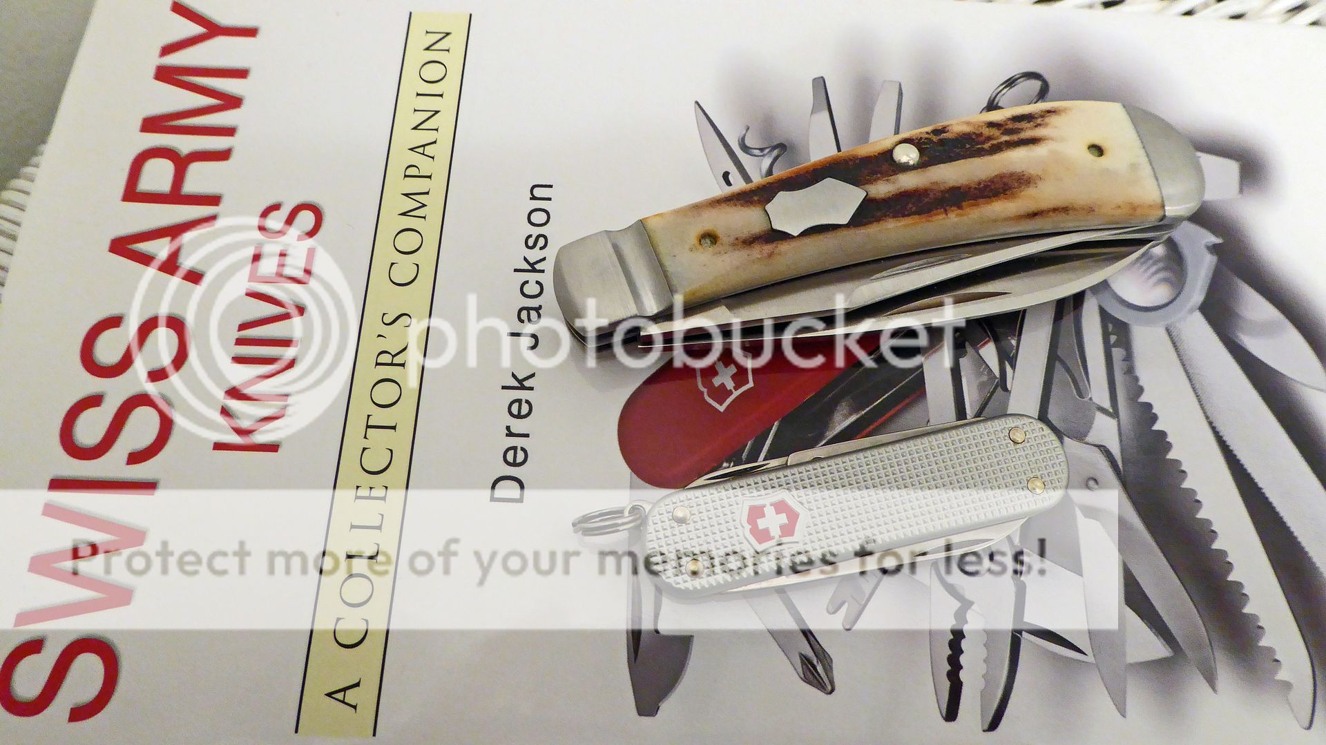 P1000505%201.jpg