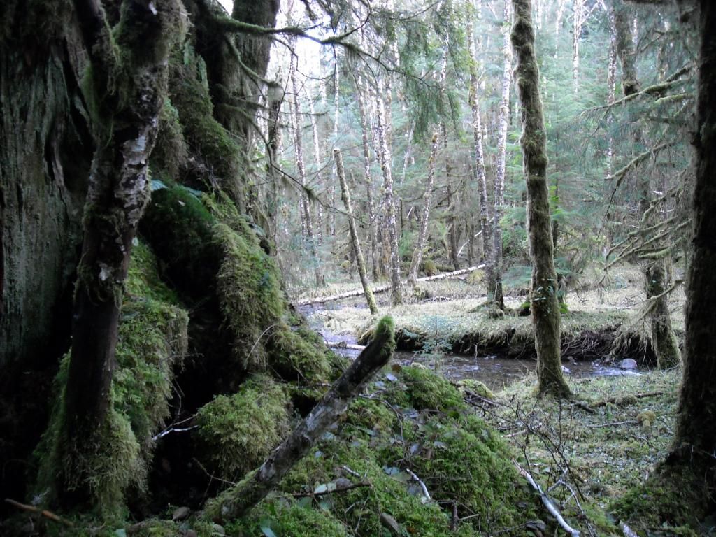 DSCN0118.jpg