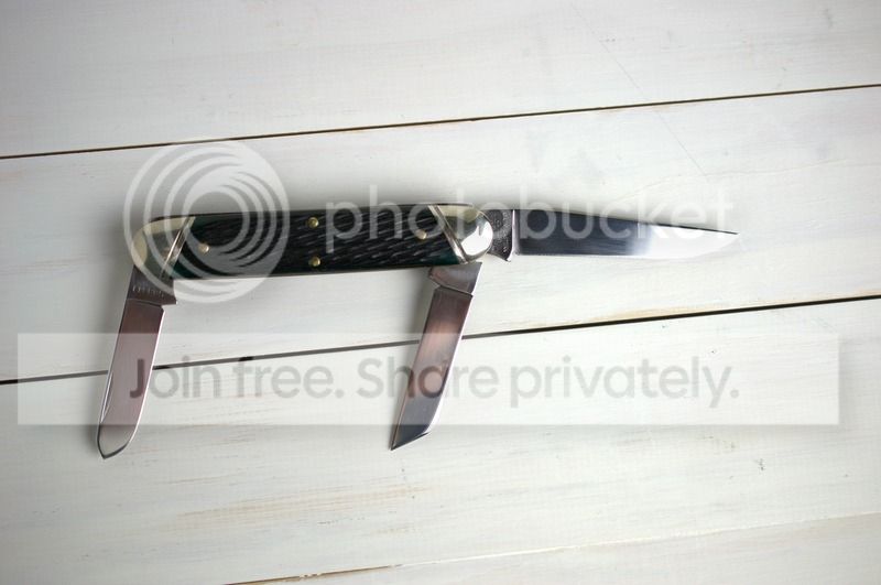 DSC_0475_zpsstagl7cr.jpg