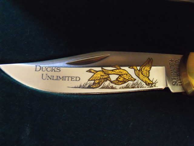 DucksUnlimited2.jpg