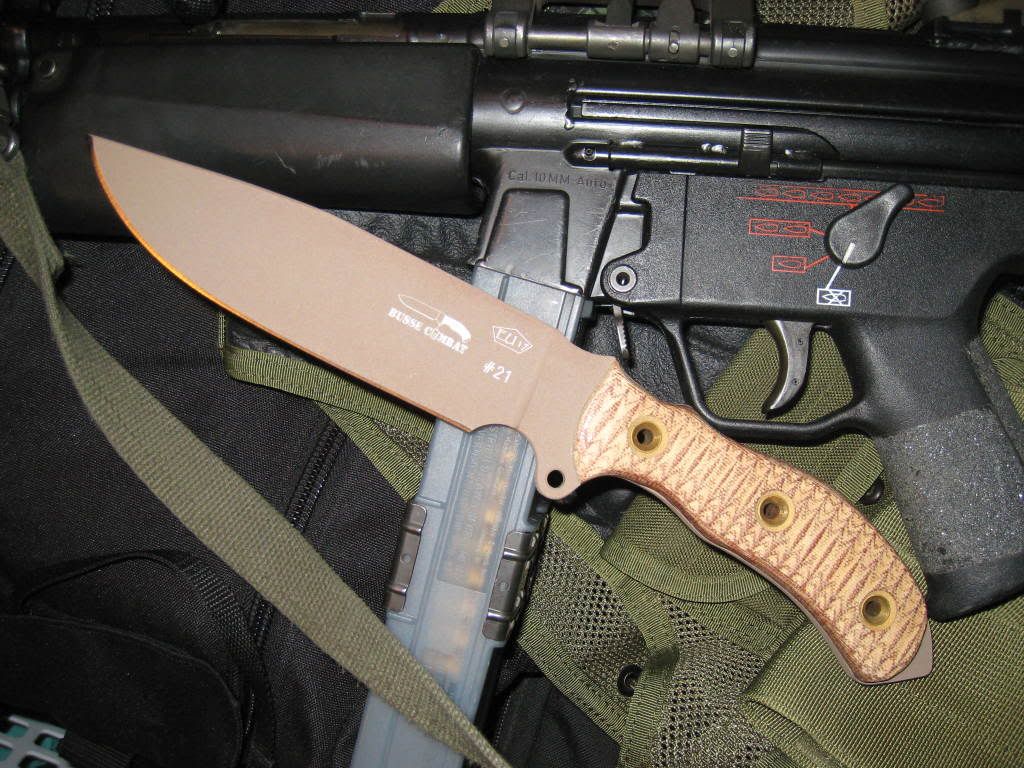EU-17.jpg