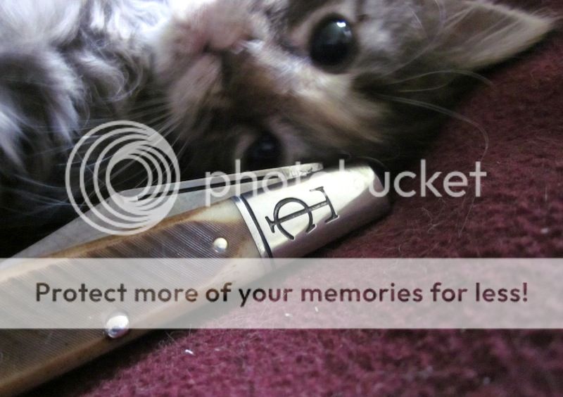 IMG_9901.jpg~original