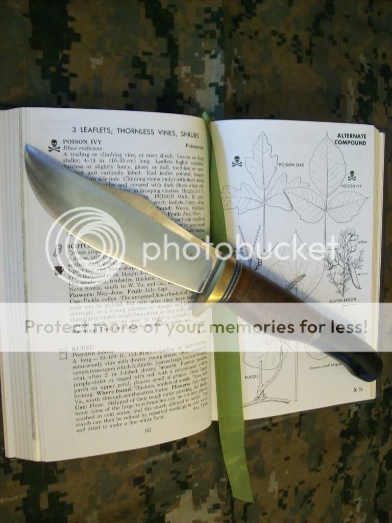 Blackwater002.jpg