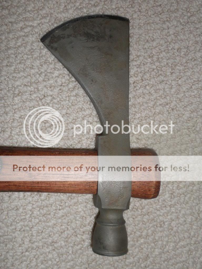 headcloseup_zpsd38a4077.jpg