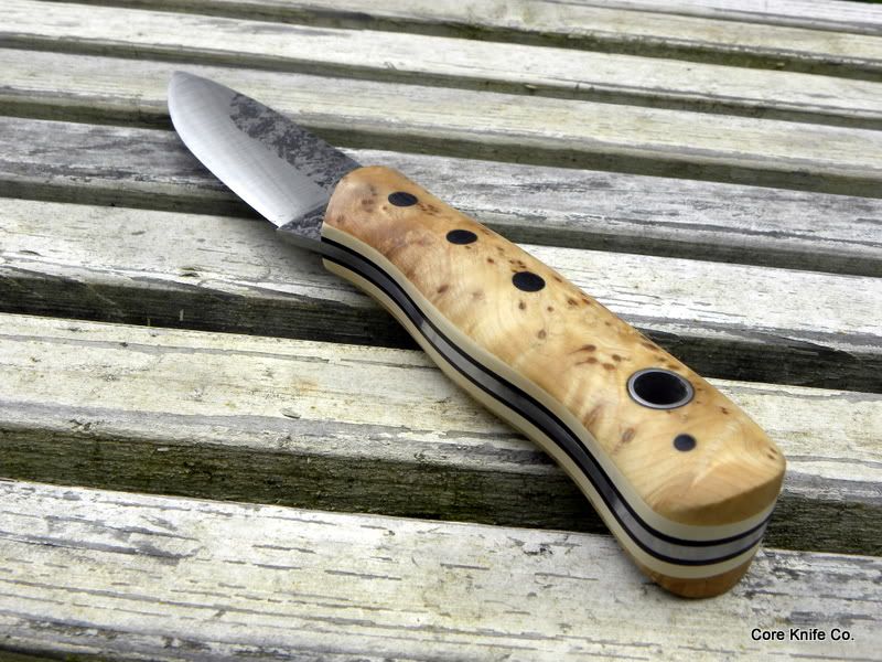 Corehart2070.jpg