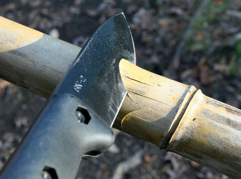 19bamboo1.jpg