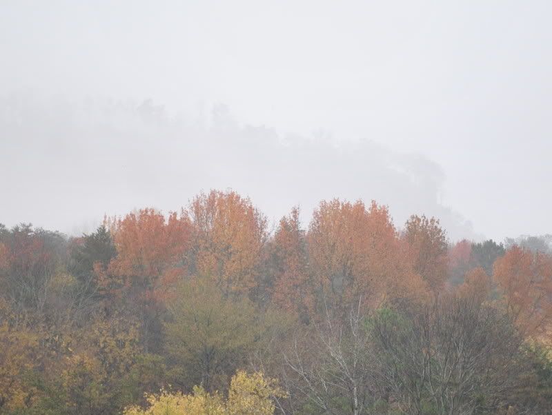 DSC_8552.jpg