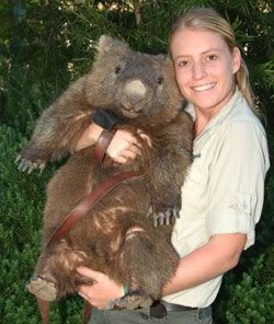 WOMBATS.jpg