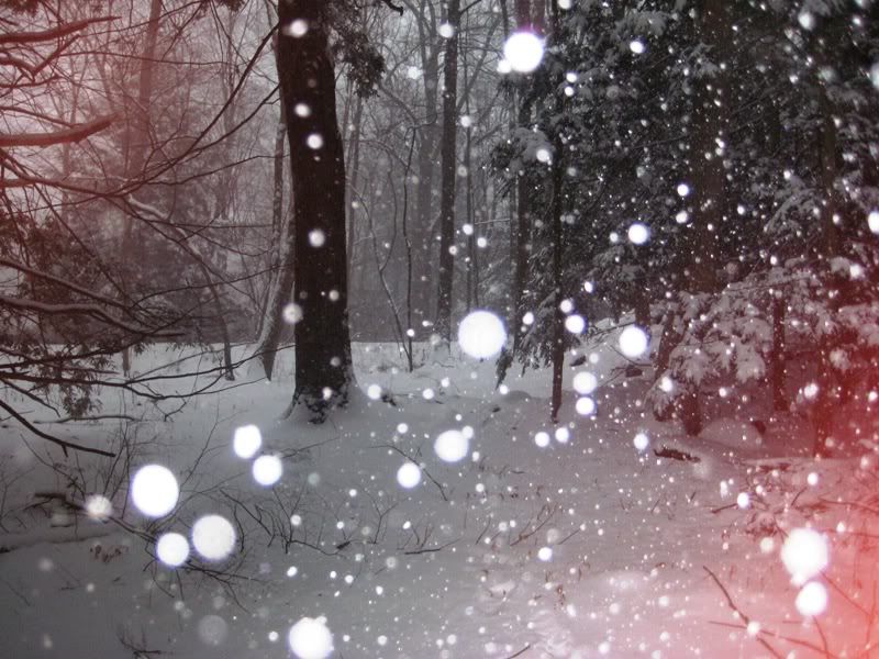 snow032.jpg