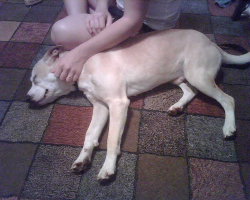 IMG00006.jpg