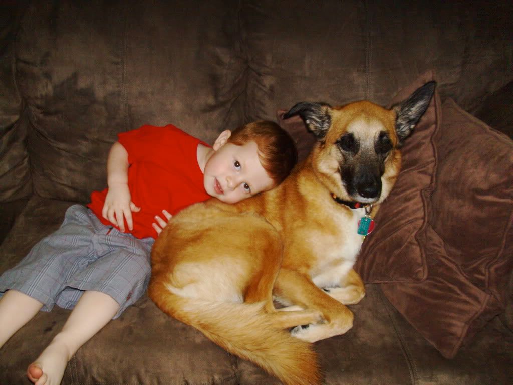 PICT0092.jpg