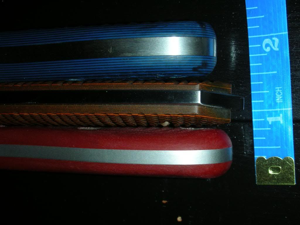 DSCN7343.jpg