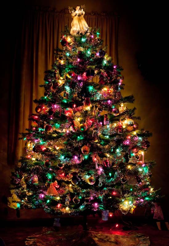 Christmas_2009.jpg