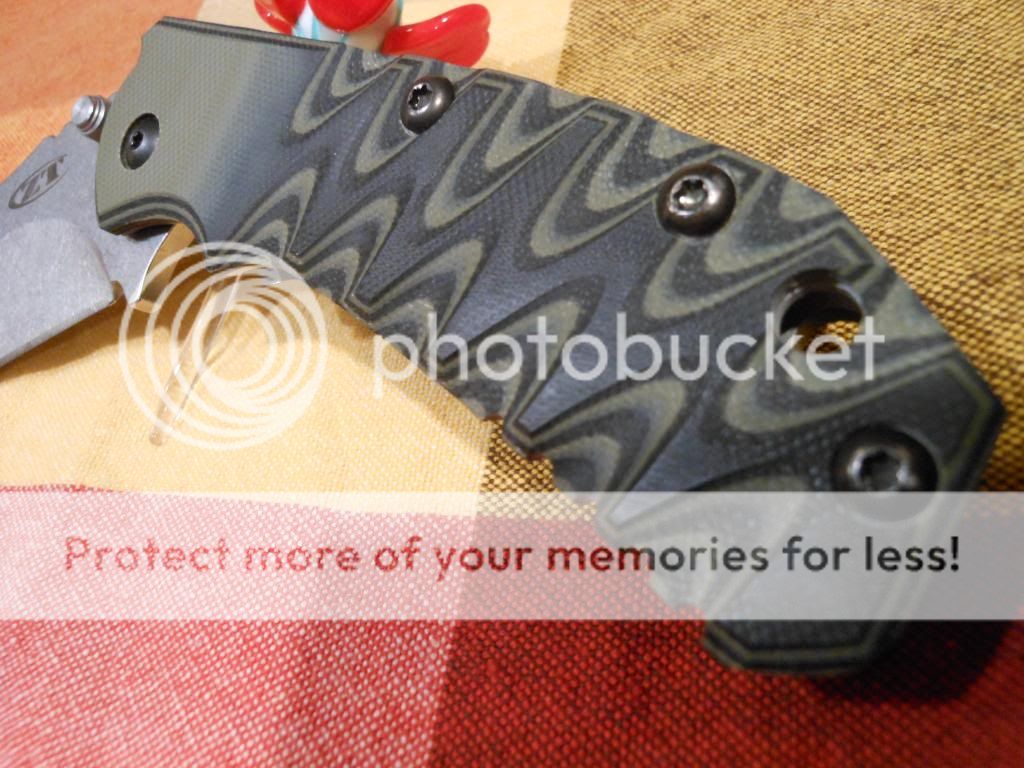 DSCN0420_zps77fb253d.jpg