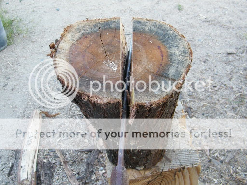 DSCF2836.jpg