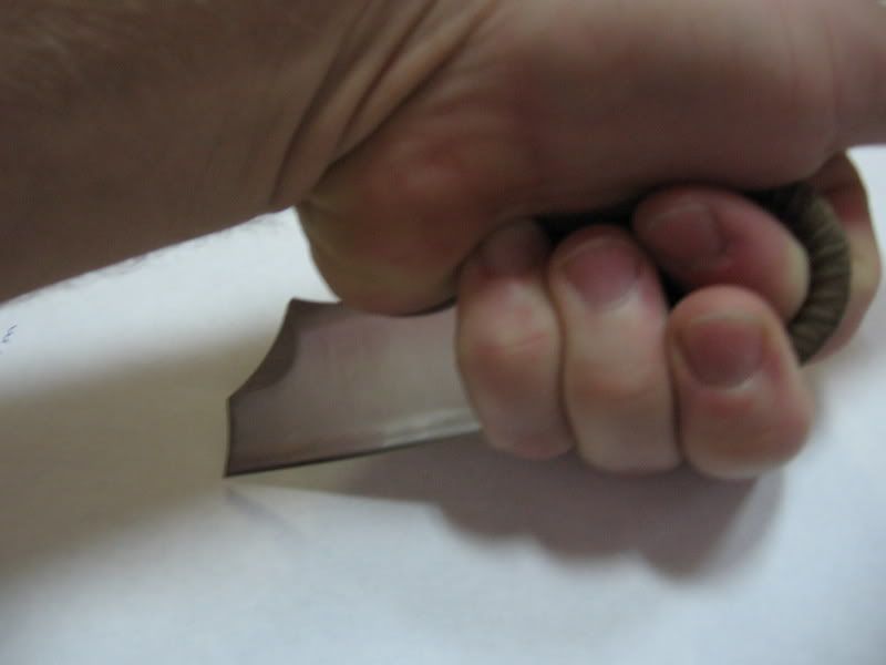 IMG_1503.jpg