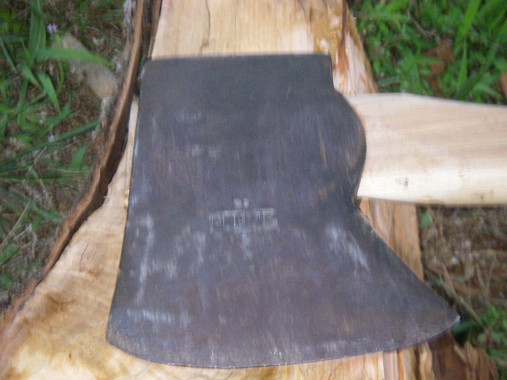 IMGP1374.jpg