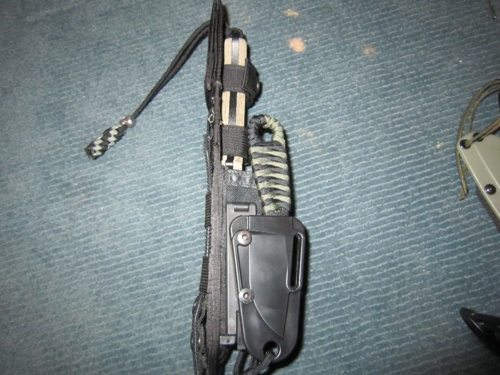esee008.jpg