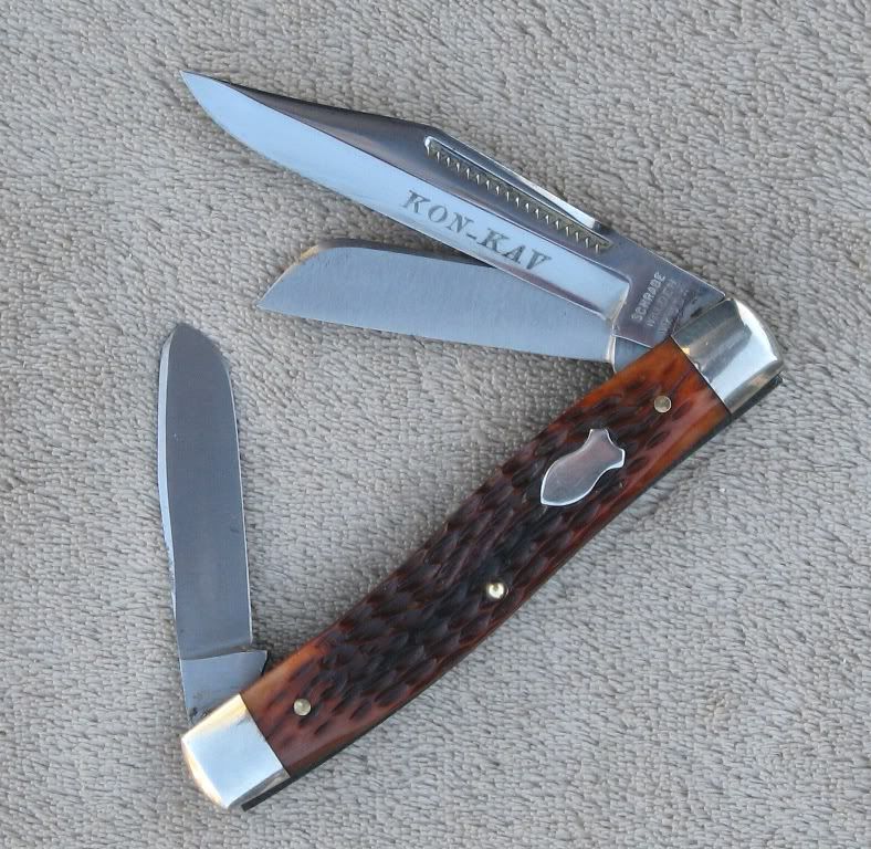 880_bone_f2-2.jpg