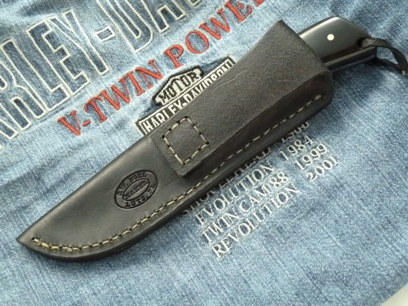 BHskinner009.jpg