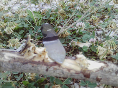 IMAG0178.JPG