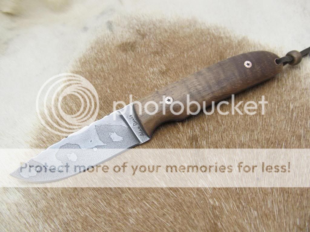koahunterwithtexturedhamon010_zpsdd83f6fa.jpg
