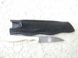 AAAAA017.jpg