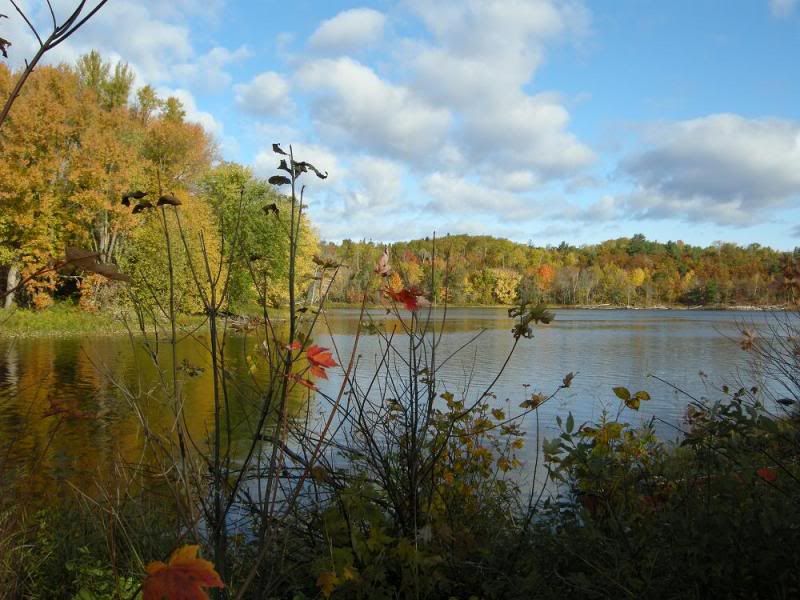 DSCN1656.jpg