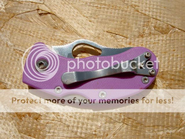 PICT5293.jpg