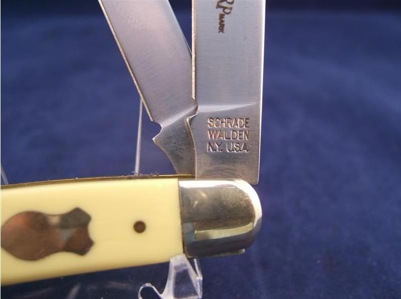 swa2932.jpg