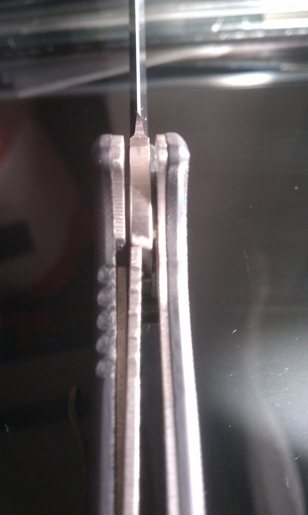 IMAG0570.jpg