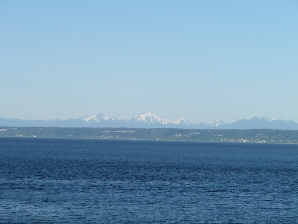 P1000322.jpg