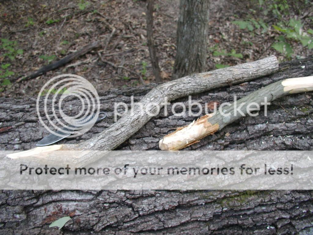 BarkPryTool.jpg