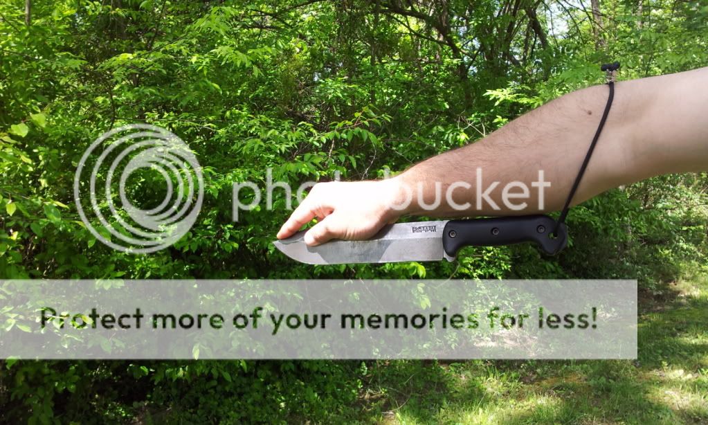 2012-04-08125341.jpg