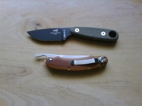 koizula01.jpg