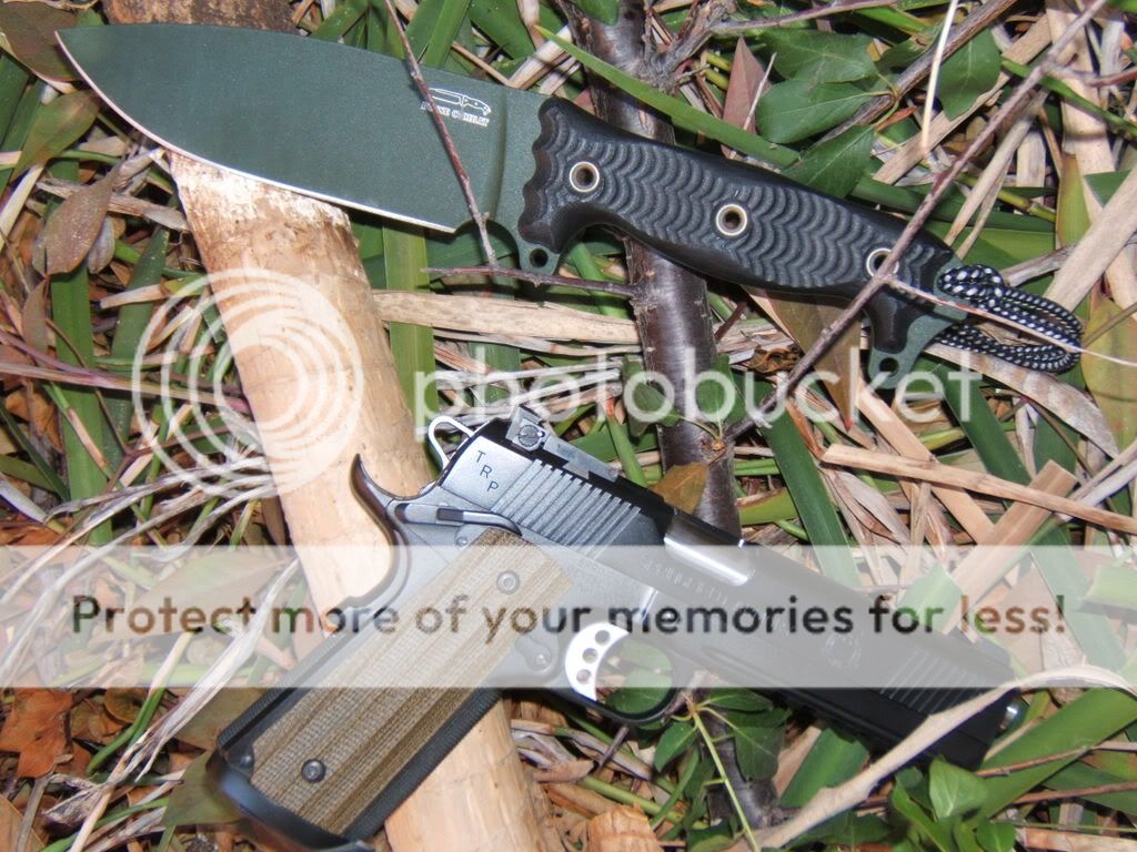 2008_0801ash1_vzgrips0003.jpg