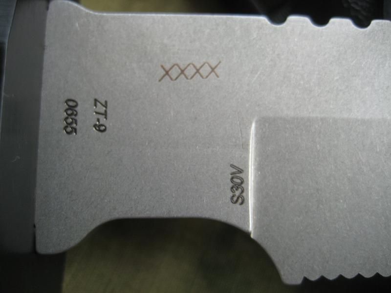 zt5.jpg