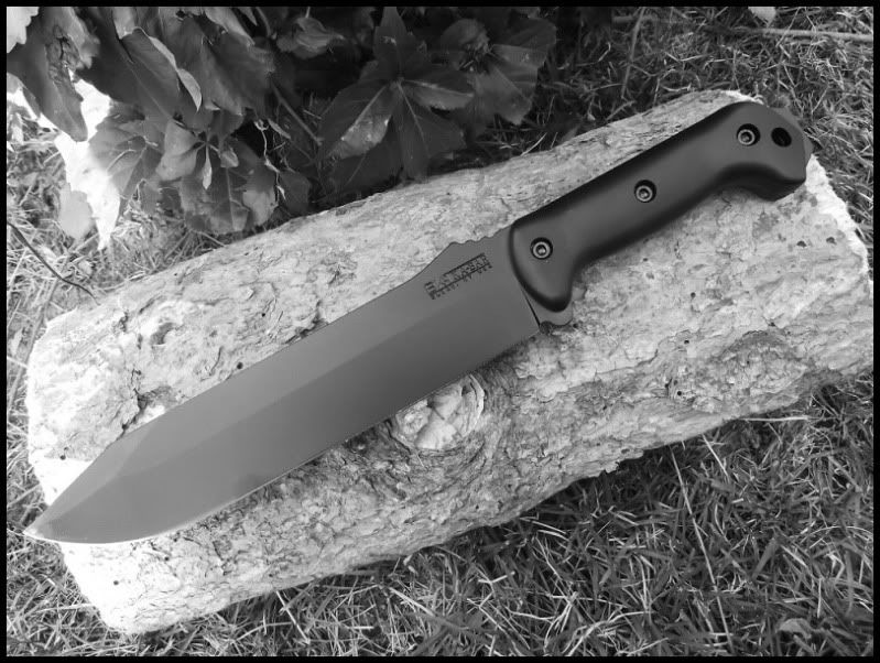 BK95B.jpg